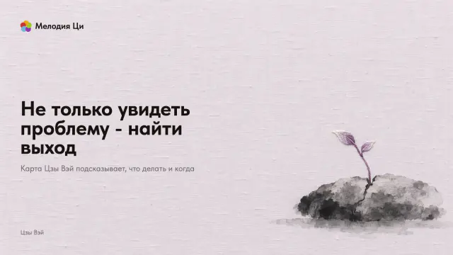 Маленький плоский камень, написанный мокрой тушью, в большой пустоте, из его трещины тянется влево один росток, вышитый сливовым шёлком