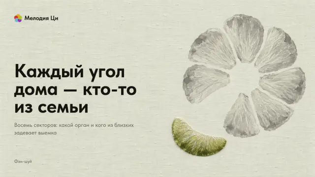 Семь бледных долек помело мокрыми пятнами туши по кругу, вид сверху, восьмая долька выпала и лежит рядом, вышитая шёлком