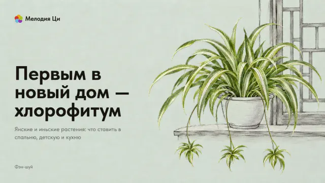 Окно с деревянной решёткой, написанное тонкой линией тушью, на подоконнике пышный хлорофитум с детками на усах, вышитый яркой зелёной гладью