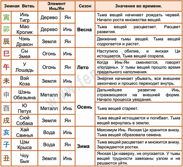 Время по Земным ветвям