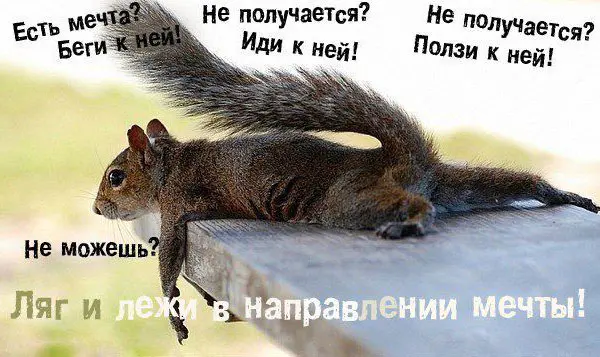белка